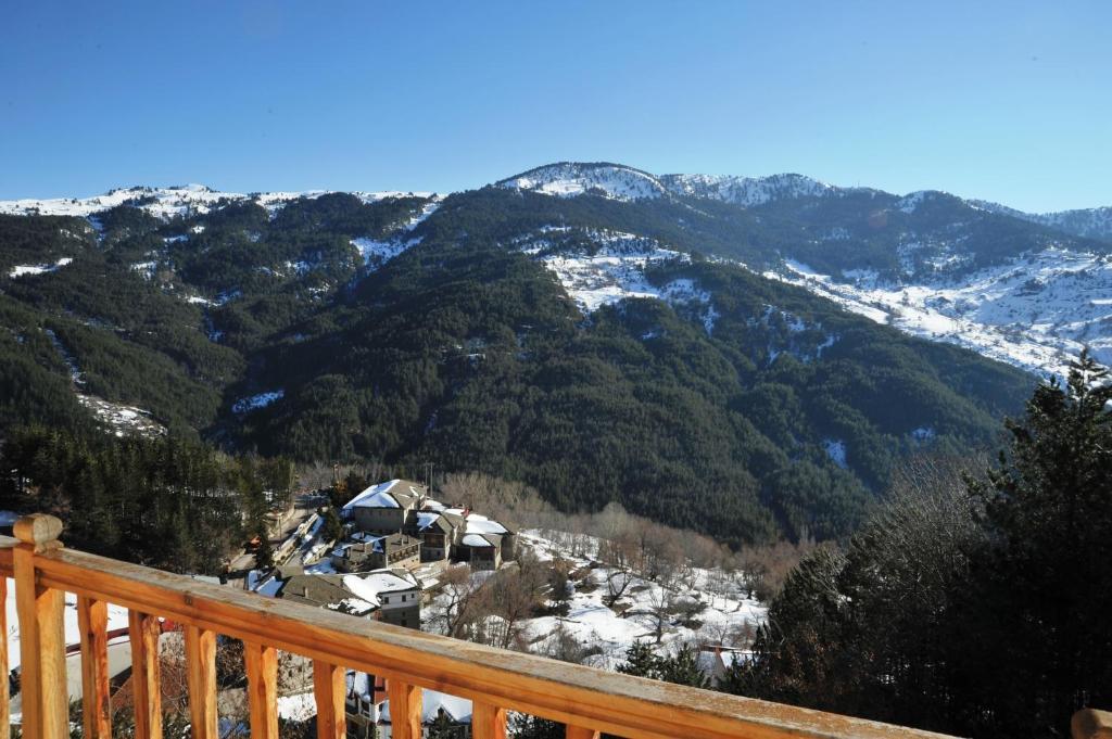 Hotel Anax Metsovo Pokoj fotografie
