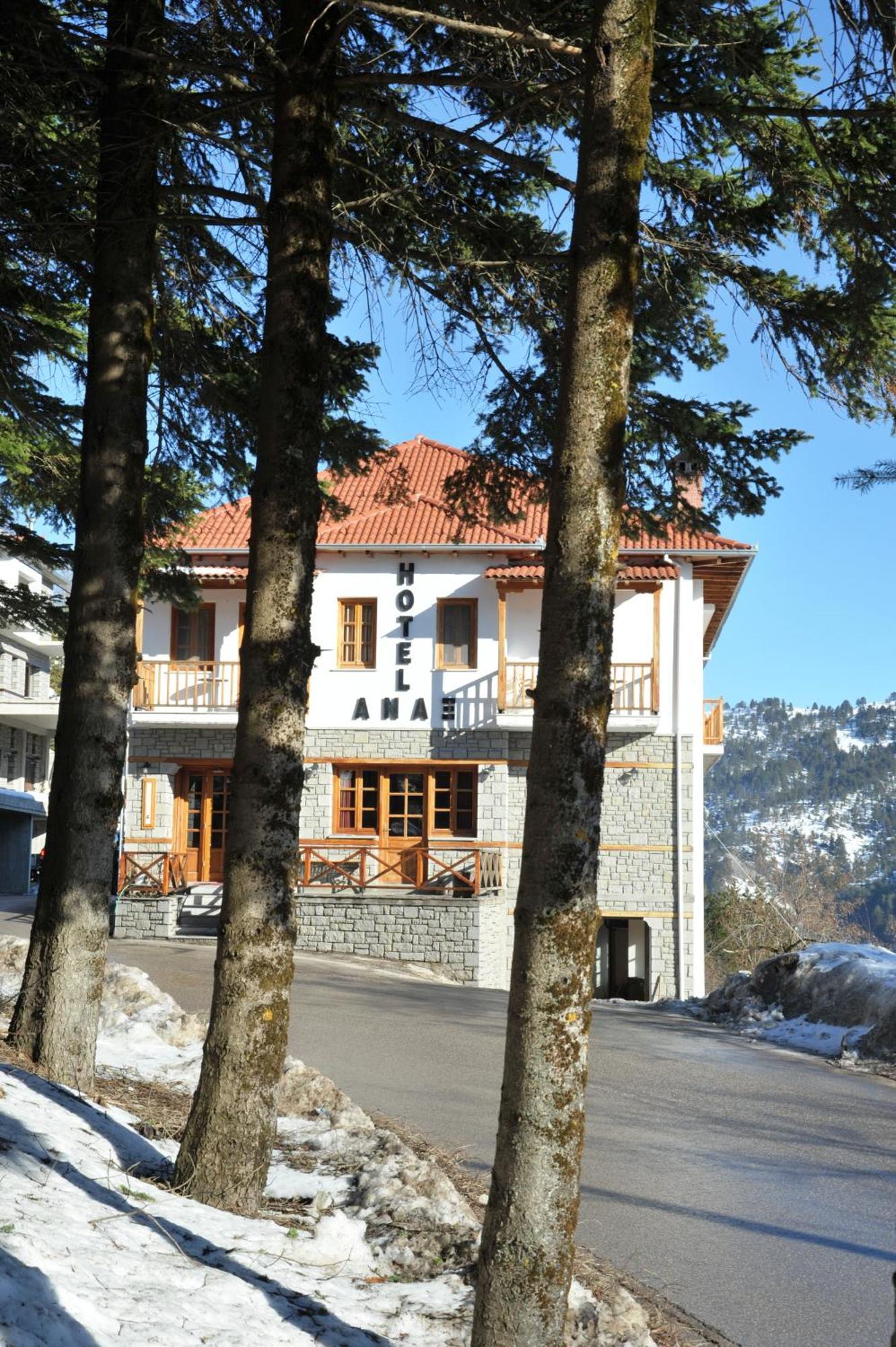 Hotel Anax Metsovo Exteriér fotografie