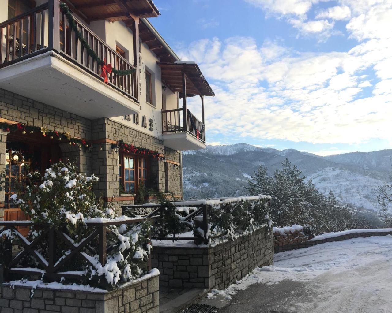 Hotel Anax Metsovo Exteriér fotografie